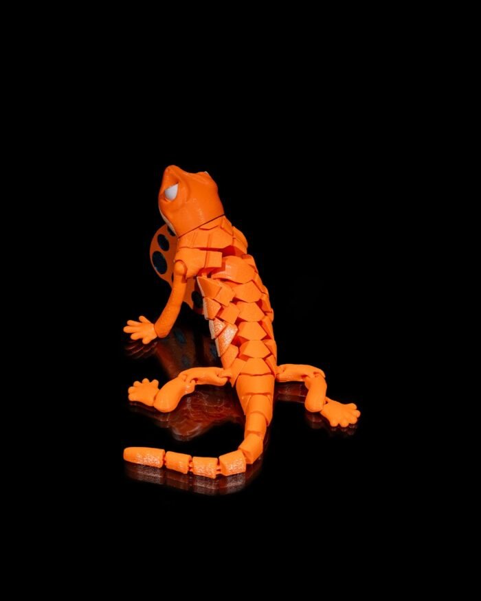 Lagarto Articulado Terapeutico 8