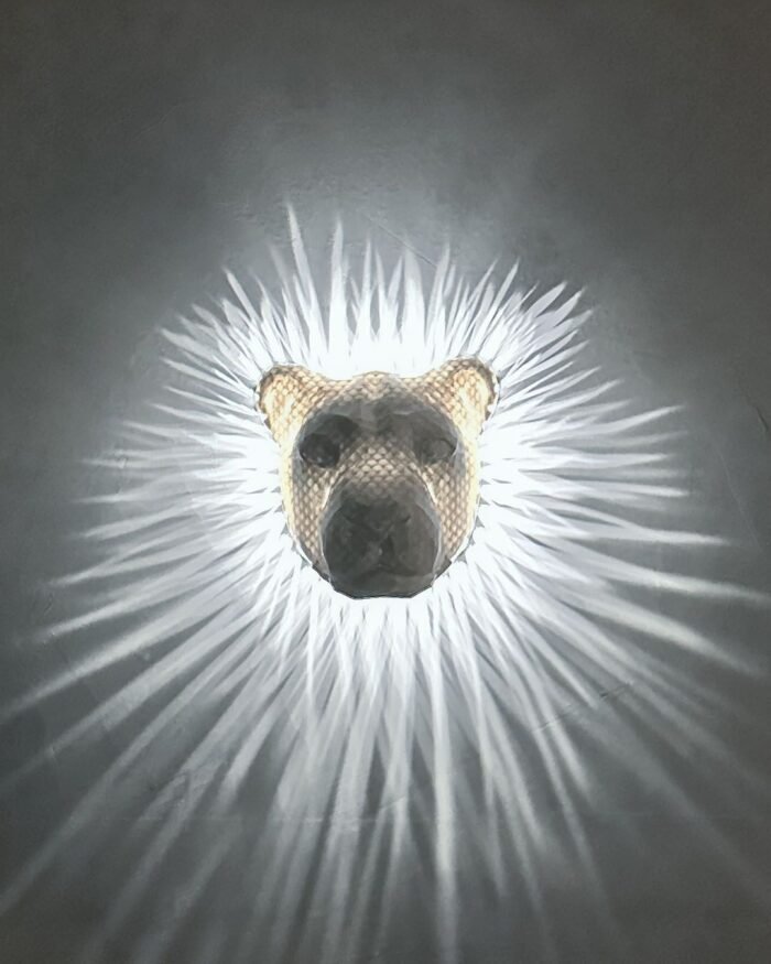 Luminária de Parede Leao 7